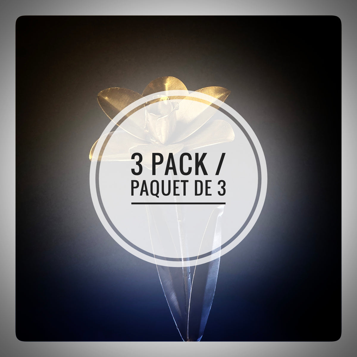 Jonquil (Pack of 3) - As low as 25$/Unit