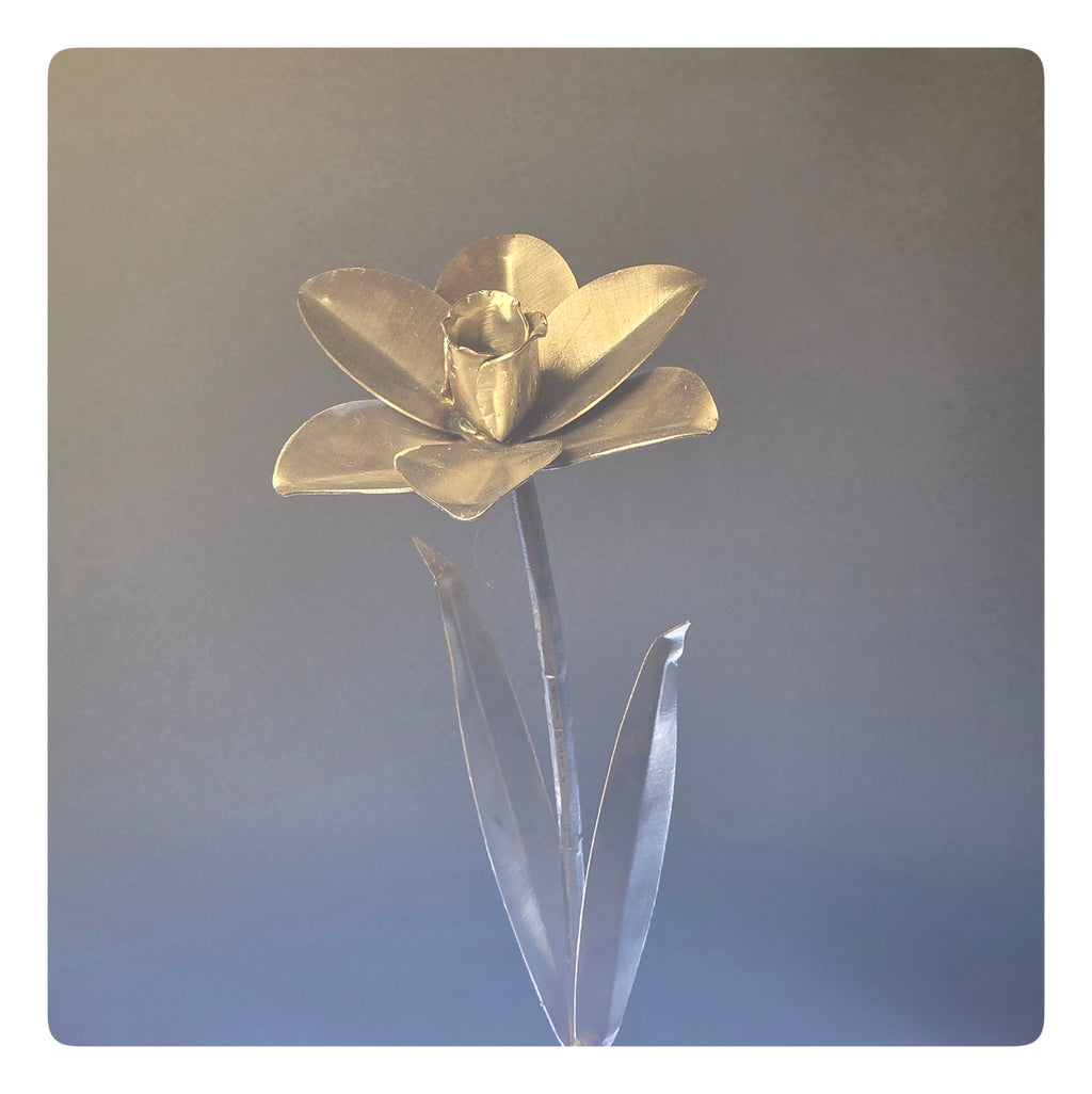 Jonquil (pack of 1) - As low as 35$/Unit