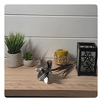 Jonquil (pack of 1) - As low as 35$/Unit