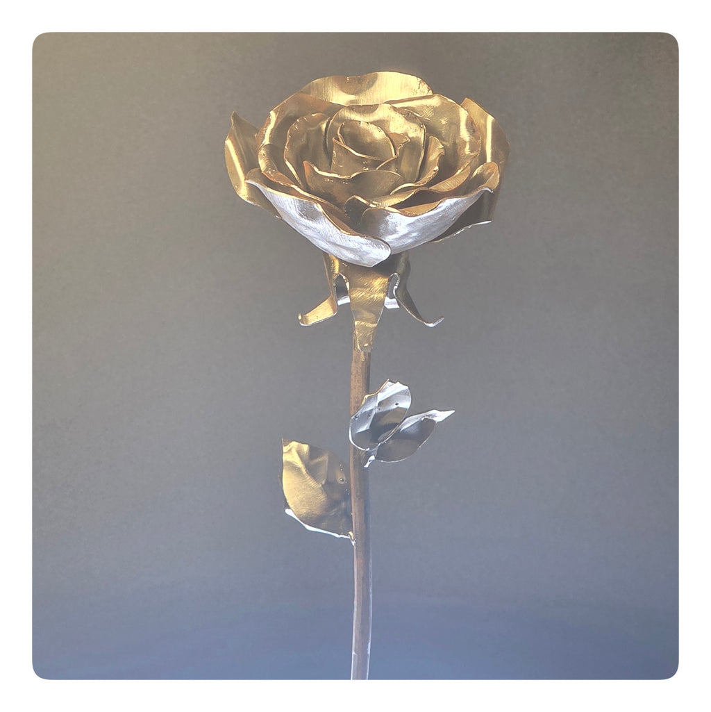 Rose (Pack of 1) - As low as 35$/Unit