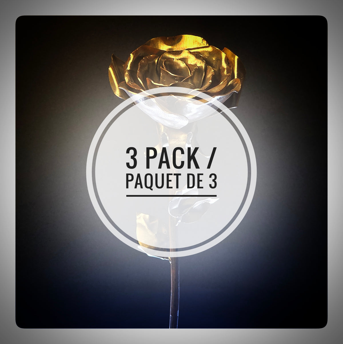 Rose (Pack of 3) As low as 25$/Unit